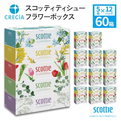 ふるさと納税 岩沼市 ティシュ 60箱 スコッティ ティシュー フラワー