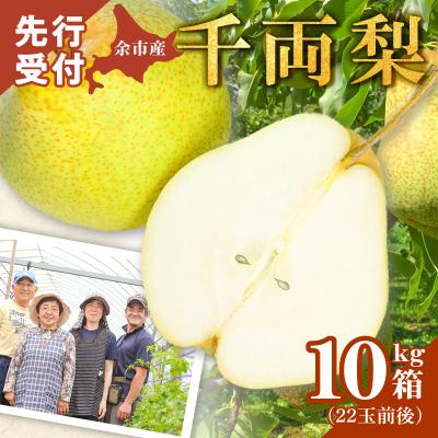 ふるさと納税 余市町 [2026年9月下旬以降発送]千両梨 10kg箱(22玉前後 北海道産 余市町産