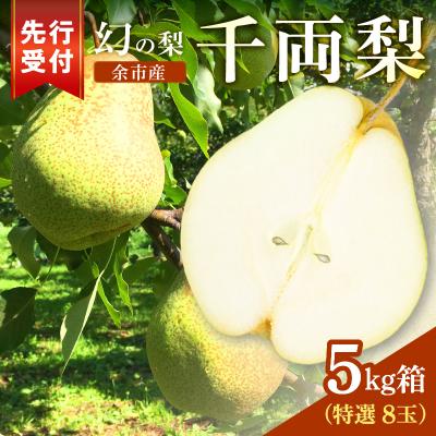 ふるさと納税 余市町 [2026年9月下旬以降発送]千両梨 5kg箱(10玉) 北海道余市町産