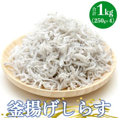 ふるさと納税 香南市 土佐名産 釜揚げしらす 約250g×4p tk-0012
