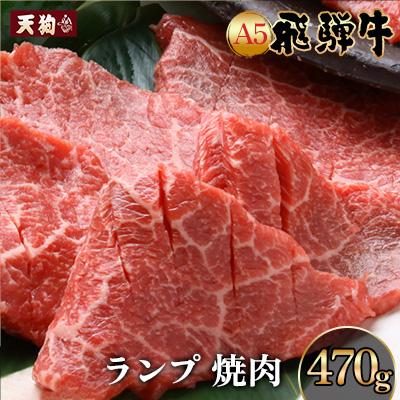 ふるさと納税 下呂市 A5 飛騨牛 ランプ焼肉 470g[冷凍][11-1017]
