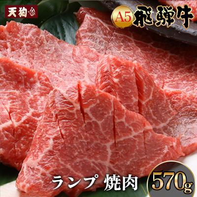 ふるさと納税 下呂市 A5 飛騨牛 ランプ焼肉 570g[冷凍][11-1021]