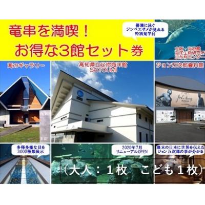 ふるさと納税 土佐清水市 水族館・資料館・展示館 ぐるっと竜串 お得な3館入場券セット(大人1名と子供1名)[R00203]