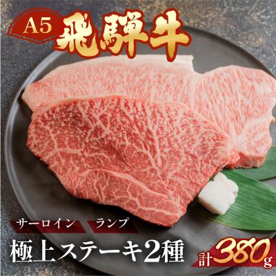 ふるさと納税 下呂市 A5飛騨牛サーロイン・ランプステーキ 約380g[11-1025]