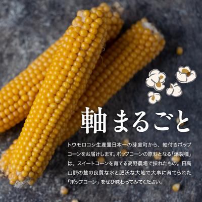 ふるさと納税 芽室町 手軽で美味しい!北海道十勝芽室町 ポップコーン イエロー20本 me066-005c_1