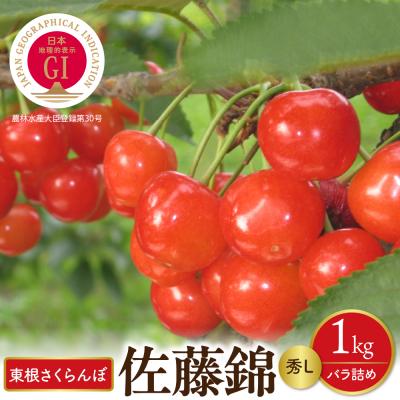 ふるさと納税 東根市 [先行受付]2026年産 GI東根さくらんぼ佐藤錦 秀L 1kgバラ詰め(500g×2P)