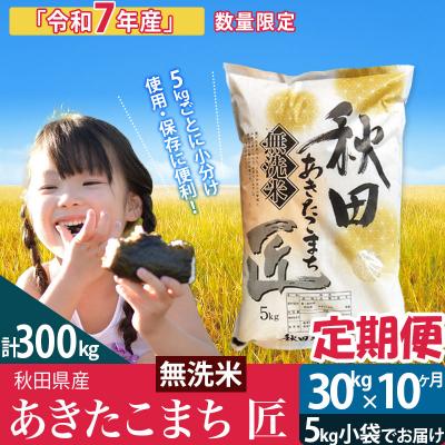 ふるさと納税 仙北市 無洗米 R7年産《定期便10ヶ月》あきたこまち 30kg 