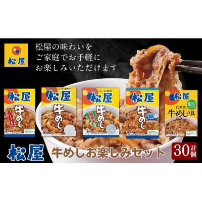 ふるさと納税 嵐山町 松屋牛めしの具5種30個　お楽しみセット[No.5755-0295]｜y-sf｜02