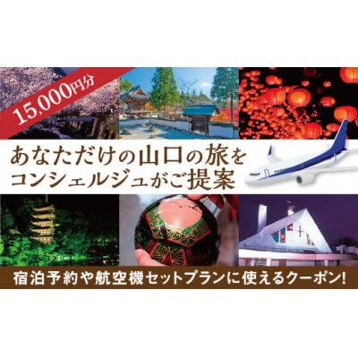 ふるさと納税 山口市 山口オーダーメイド旅行プラン(15000円分)