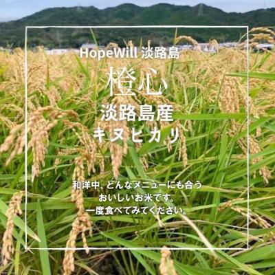 ふるさと納税 南あわじ市 【Hope Will】令和5年 淡路島産「橙心(きぬひかり)」　玄米10kg｜y-sf｜02