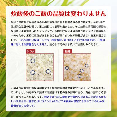 ふるさと納税 三種町 《定期便8ヶ月》【白米】家計お助け米 あきたこまち 10kg 秋田県 |05_kml-071008｜y-sf｜03