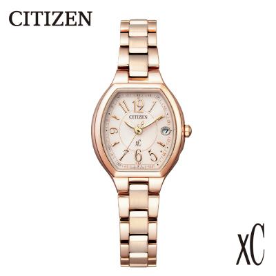 ふるさと納税 妙高市 [CITIZEN] クロスシー ES9365-54W