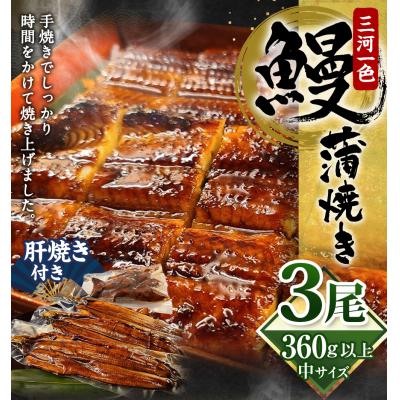 ふるさと納税 幸田町 三河一色 うなぎ 蒲焼き 中3尾 (肝焼き付き)