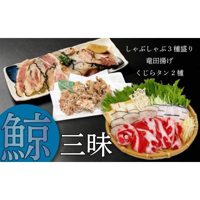 ふるさと納税 下関市 鯨三昧セット