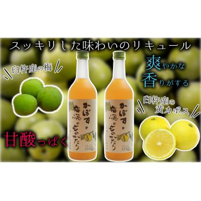 ふるさと納税 臼杵市 臼杵産のカボスをブレンドした梅酒「かぼすと梅酒のものがたり」2本セット