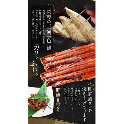 特売割 ふるさと納税 幸田町 三河一色うなぎ蒲焼 5尾(肝焼き付き) うなぎ 蒲焼