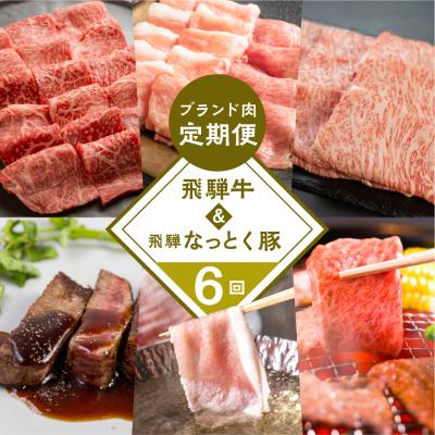 ふるさと納税 下呂市 [定期便6回] 飛騨牛 &amp; なっとく豚 ブランド焼肉 豚しゃぶ 赤身 牛肉 豚肉[tc2]