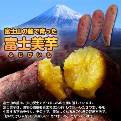 ふるさと納税 富士市 【先行受付】富士美芋 生4.5kg さつまいも 甘い 期間限定 富士市 [sf070-002]の画像