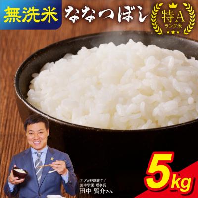ふるさと納税 雨竜町 令和5年産 うりゅう米 ななつぼし 無洗米 5kg(5kg×1袋)