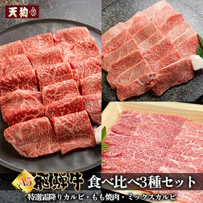 ふるさと納税 下呂市 飛騨牛A5 食べ比べ3種セット[冷凍 真空]牛肉 霜降り しもふり[11-84]