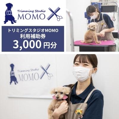 ふるさと納税 北本市 トリミング&amp;写真撮影利用補助券 3000円分