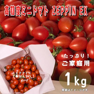 ふるさと納税 笠岡市 フルーツトマト 1kg 箱 ZEPPIN TOMATO OKAYAMA (ZEPPIN)C-39
