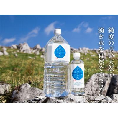 ふるさと納税 西予市 \u003c四国カルスト生まれながら水ぞっこん 500ml(24本入り口・入口)×4入れもの 計96本\u003e 積みたてる お水 みず