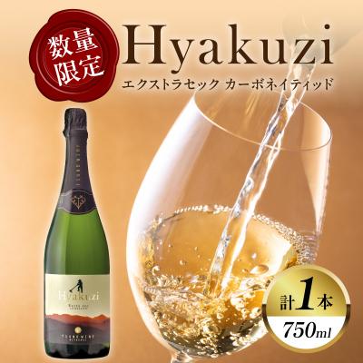 ふるさと納税 都農町 [数量限定]Hyakuzi エクストラセック カーボネイティッド(計1本) 酒