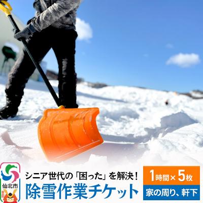 ふるさと納税 仙北市 シニア世代の困り事を解決!除雪作業サービス利用チケット 1時間×5枚|02_aom-040501