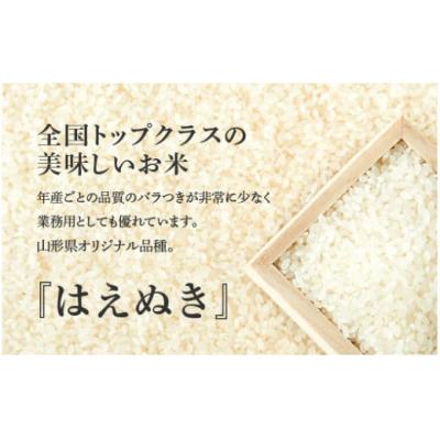 ふるさと納税 東根市 【令和6年産 先行受付】 ★2025年3月後半発送★　はえぬき20kg(5kg×4袋)植松商店提供｜y-sf｜02