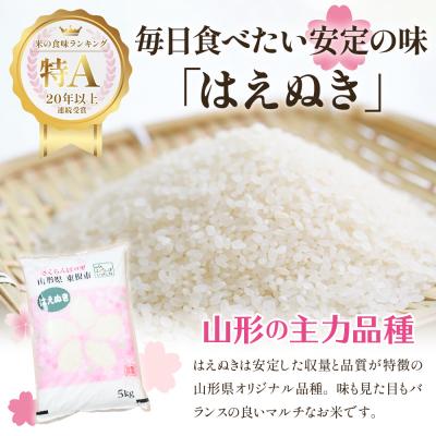 ふるさと納税 東根市 【令和6年産 先行受付】はえぬき15kg (2025年1月前半送付)JA提供 山形県 東根市　｜y-sf｜02