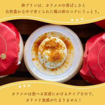 ふるさと納税 香南市 プリン2種 合計12個(卵・ほうじ茶) kn-0043の画像