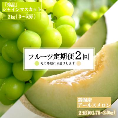 ふるさと納税 長井市 [R6年8月〜10月発送分先行受付]果物定期便2回(メロン/シャインマスカット)