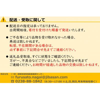 ふるさと納税 長井市 【2026年発送】【定期便2回】山形旬の果物2選(メロン/シャインマスカット)_H182(R8)の画像