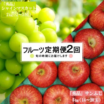 ふるさと納税 長井市 [2026年発送][定期便2回]山形旬の果物2選(シャインマスカット/りんご)_H183(R8)
