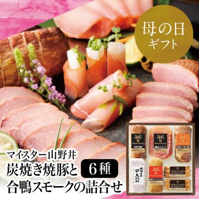 ふるさと納税 南さつま市 [母の日ギフト][マイスター山野井]炭焼き焼豚と合鴨スモークの詰め合わせ(6種)