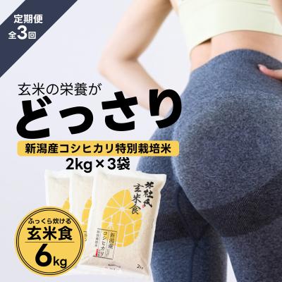 ふるさと納税 阿賀野市 [令和7年産][3ヶ月定期便]ふっくら玄米食 6kg(2kg×3)×3回 米杜氏