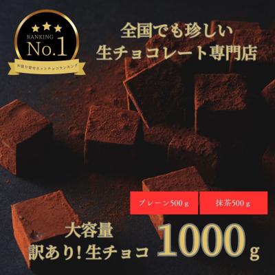 ふるさと納税 鳥取市 大容量 訳あり 生チョコレート 1000g(プレーン500g、抹茶500g)