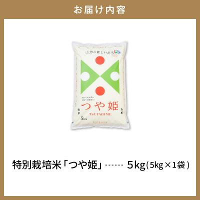 ふるさと納税 東根市 【令和6年産米 先行受付】☆2025年2月後半発送☆ 特別栽培米 つや姫 5kg 山形県 東根市産｜y-sf｜03