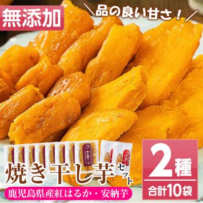 ふるさと納税 いちき串木野市 鹿児島県産焼き干し芋(紅はるか8袋・種子島産安納芋2袋)計100g×10袋