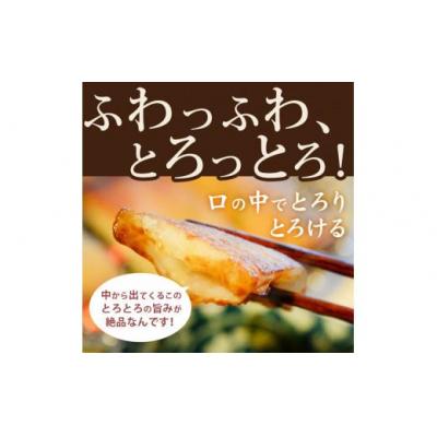 ふるさと納税 小松島市 ごま天 12枚 練り物 天ぷら おつまみ おかず さつまあげ さつま揚げ 個包装 小分け_3
