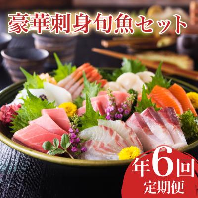 ふるさと納税 下関市 定期便 年6回 隔月 豪華刺身旬魚セット ヤマモ水産