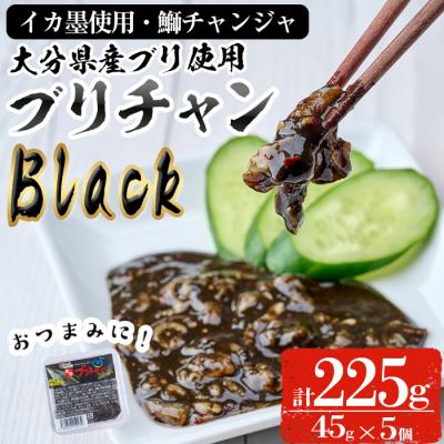 ふるさと納税 佐伯市 &lt;お試し用&gt;ブリチャンBLACK(計225g・45g×5個)