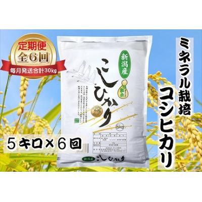 ふるさと納税 阿賀野市 [令和7年産新米][6回定期便 ]ミネラル栽培こしひかり 5kg×6回 計30kg 井上米穀店
