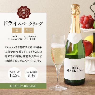 ふるさと納税 甲府市 サドヤ ドライスパークリングワイン_1