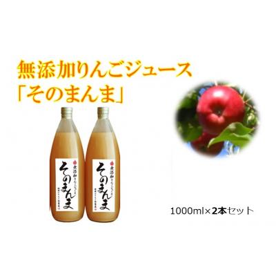 ふるさと納税 伊那市 与古美の「そのまんま」100%りんごジュース2本セット