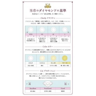 ふるさと納税 甲府市 プラチナ900 ダイヤモンドピアス(Dカラー・0.5ct)K027904-H｜y-sf｜04