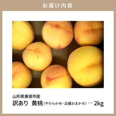 ふるさと納税 東根市 【2024年産　先行受付】黄桃 品種おまかせ 訳あり2kg(やわらかめ)｜y-sf｜03