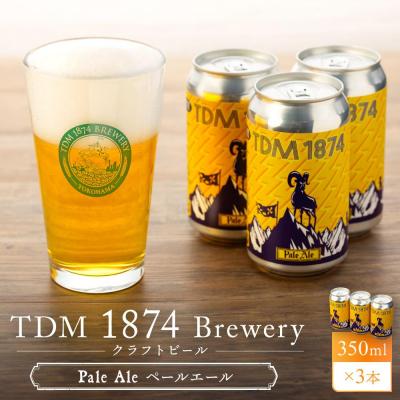 ふるさと納税 横浜市 TDM 1874 Brewery クラフトビール Pale Ale ペールエール 350ml×3本
