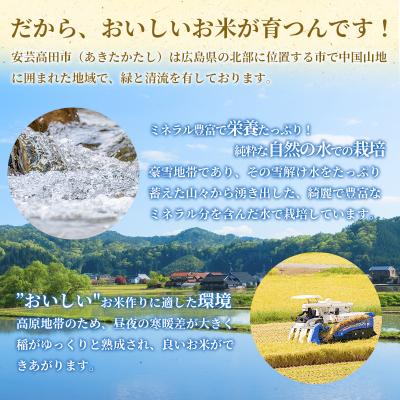 ふるさと納税 安芸高田市 米 令和5年 安芸高田市産 こしひかり 真空 
